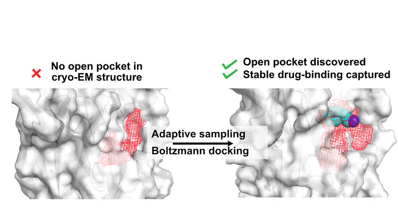 Discovering cryptic pocket opening and binding of a stimulant derivative in a vestibular site of the 5-HT3A receptor