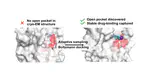 Discovering cryptic pocket opening and binding of a stimulant derivative in a vestibular site of the 5-HT3A receptor