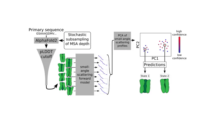 Resolving the conformational ensemble of a membrane protein by integrating small-angle scattering with AlphaFold