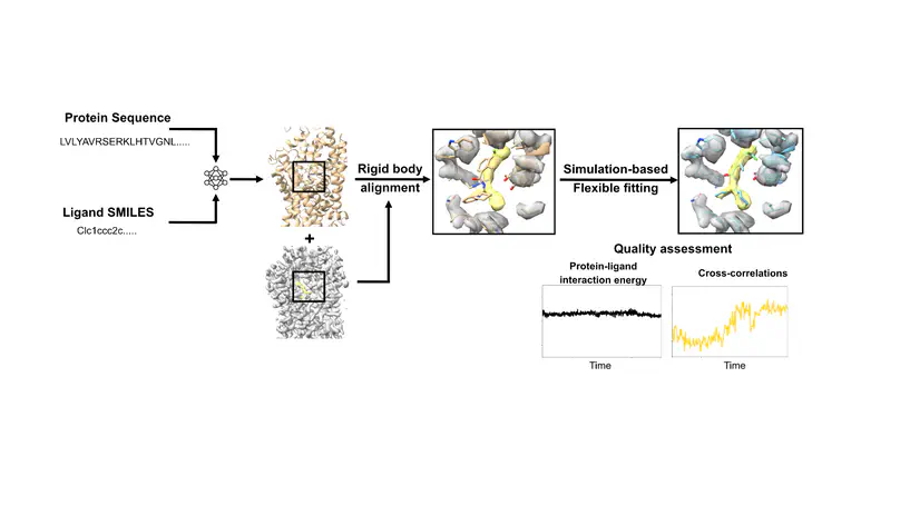 Cryo-EM ligand building using generative AI and molecular dynamics