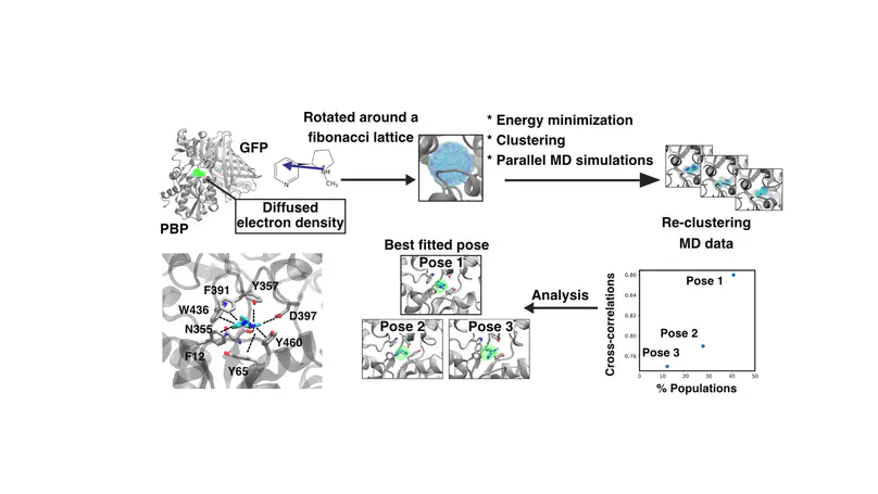 Interactive computational and experimental approaches improve the sensitivity of periplasmic binding protein-based nicotine biosensors for measurements in biofluids