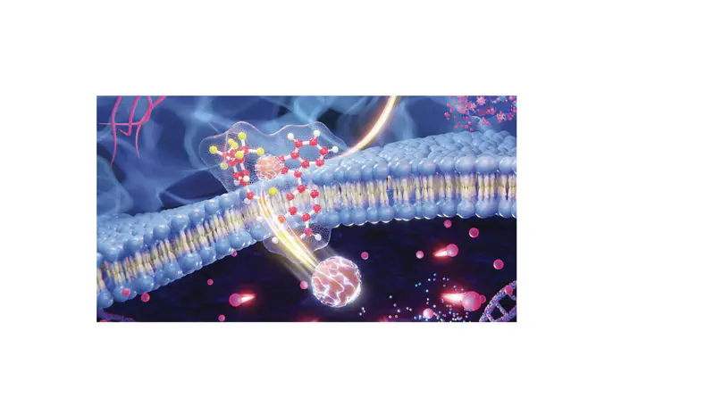 Quinoline Thiourea-Based Zinc Ionophores with Antibacterial Activity
